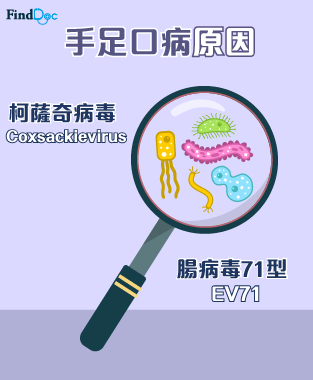 手足口病原因